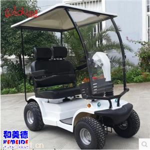  威之群老年代步车双人座代步车4031B带棚